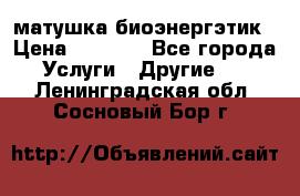 матушка-биоэнергэтик › Цена ­ 1 500 - Все города Услуги » Другие   . Ленинградская обл.,Сосновый Бор г.